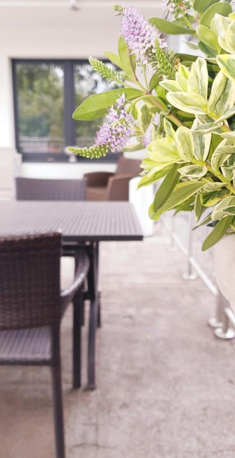 Moderne Zweizimmerwohnung Essen Eksteriør billede